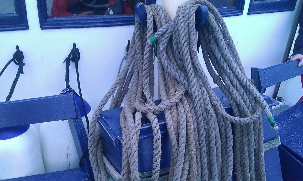 Ropes from the Lady Florence--I mean, The Cloud-Chaser. Sure. ;)